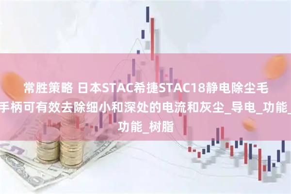 常胜策略 日本STAC希捷STAC18静电除尘毛刷长手柄可有效去除细小和深处的电流和灰尘_导电_功能_树脂