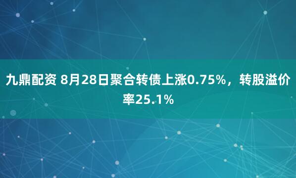 九鼎配资 8月28日聚合转债上涨0.75%，转股溢价率25.1%