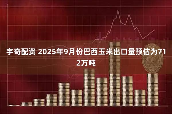 宇奇配资 2025年9月份巴西玉米出口量预估为712万吨