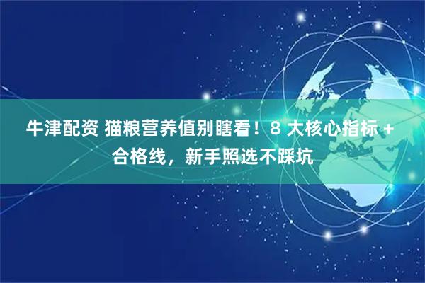 牛津配资 猫粮营养值别瞎看！8 大核心指标 + 合格线，新手照选不踩坑